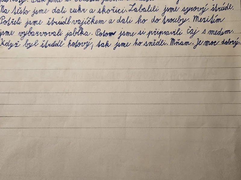 peceni-strudlu-3.b-17