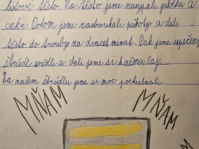 peceni-strudlu-3.b-18