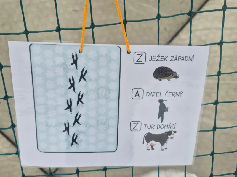 Celodružinová akce