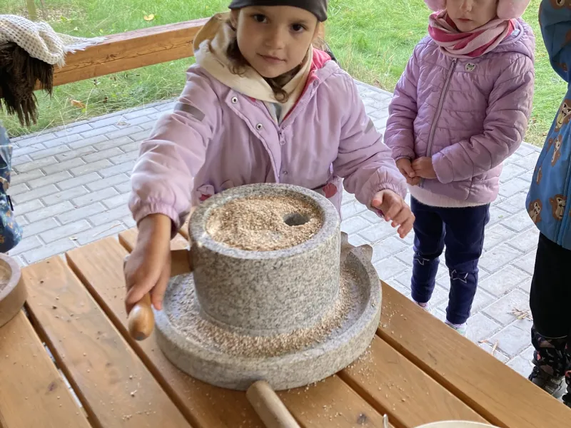 Od stébla k chlebu
