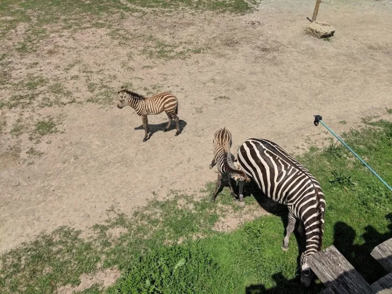 dvoudenní-sk-vylet-9.b-03