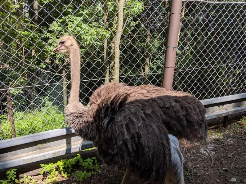 dvoudenní-sk-vylet-9.b-06