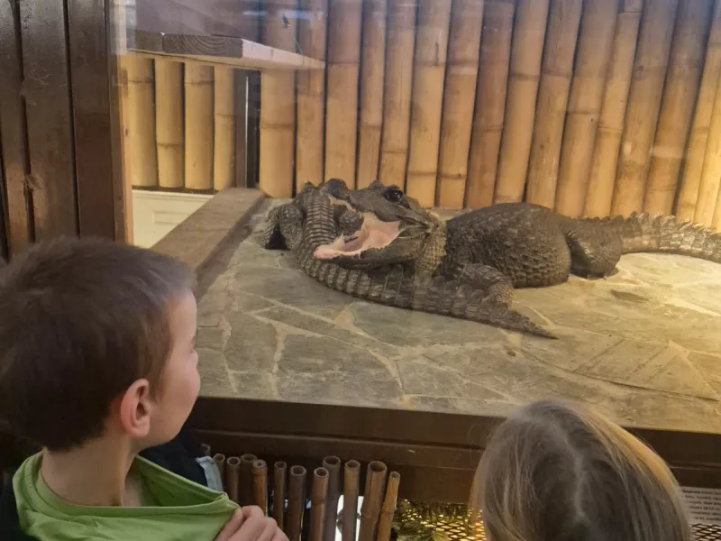 Krokodýlí zoo