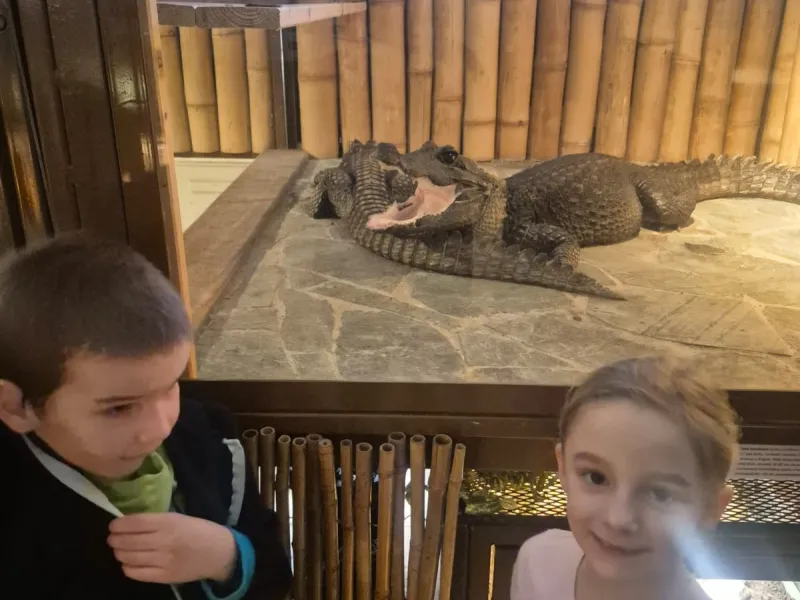 Krokodýlí zoo