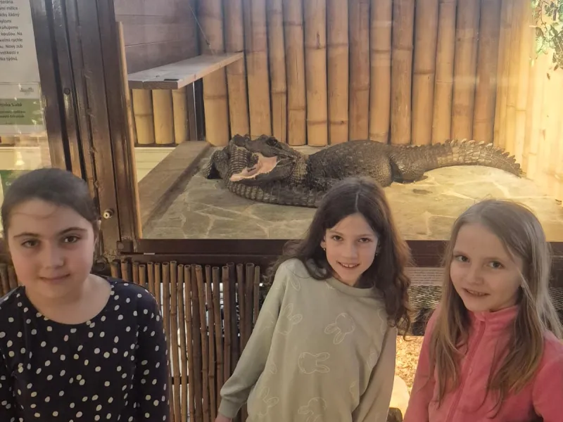 Krokodýlí zoo