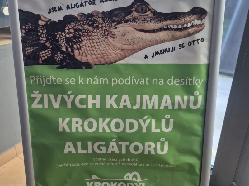 Krokodýlí zoo
