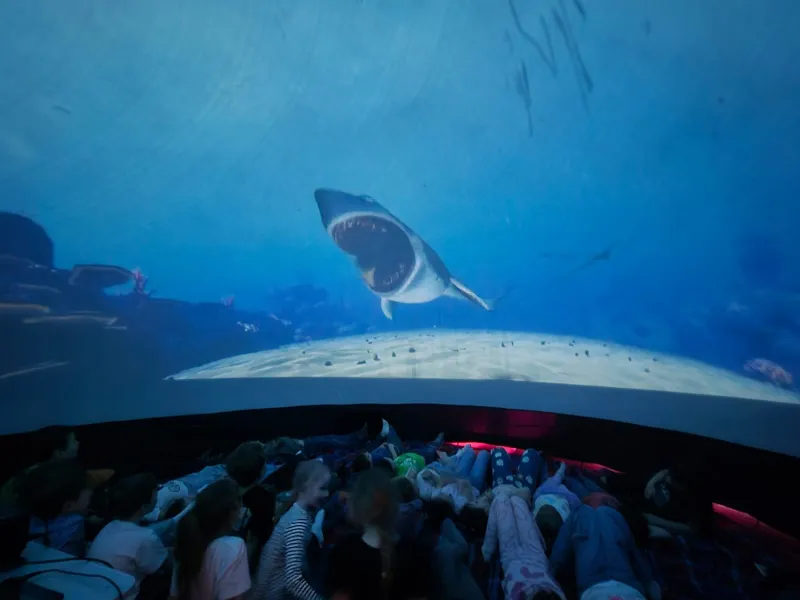 Mobilní planetárium v ŠD