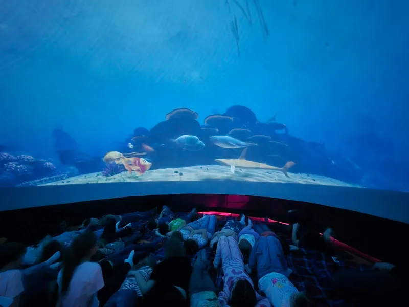 Mobilní planetárium v ŠD