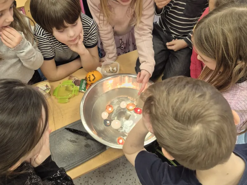 Vánoční besídka opičky