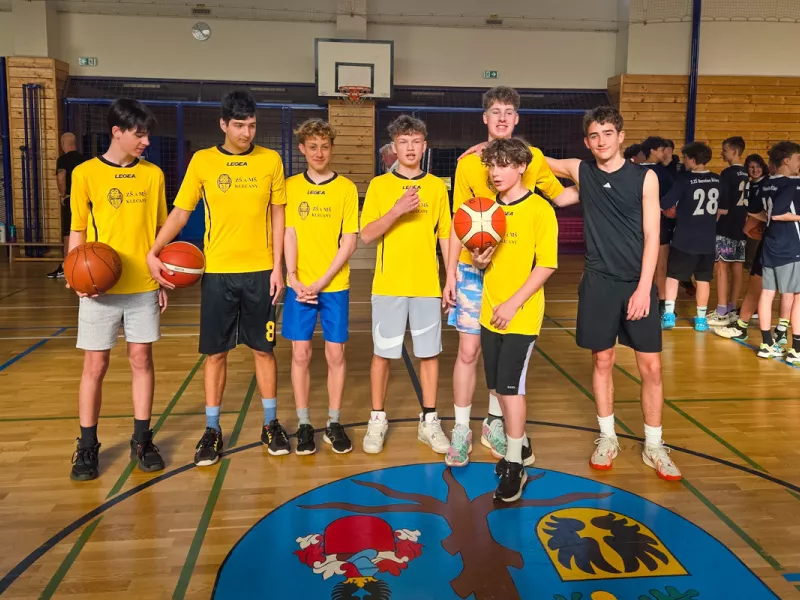 basket-web-1-of-14
