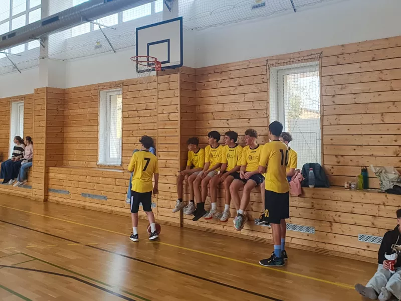 basket-web-5-of-14