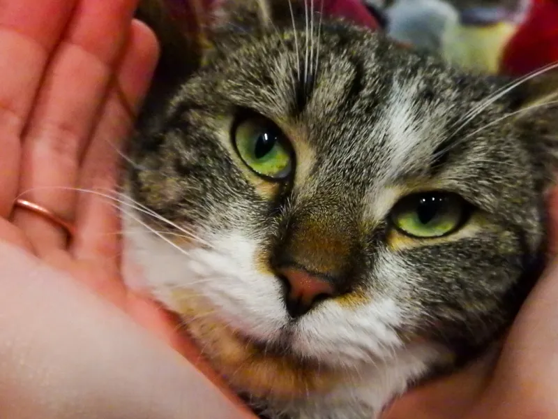 Den_otevřených_dveří