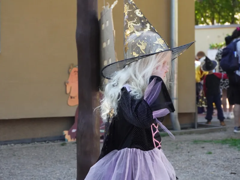 dsc03504