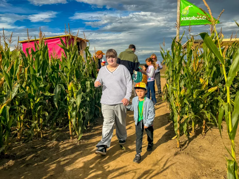 kukurice-11-of-24