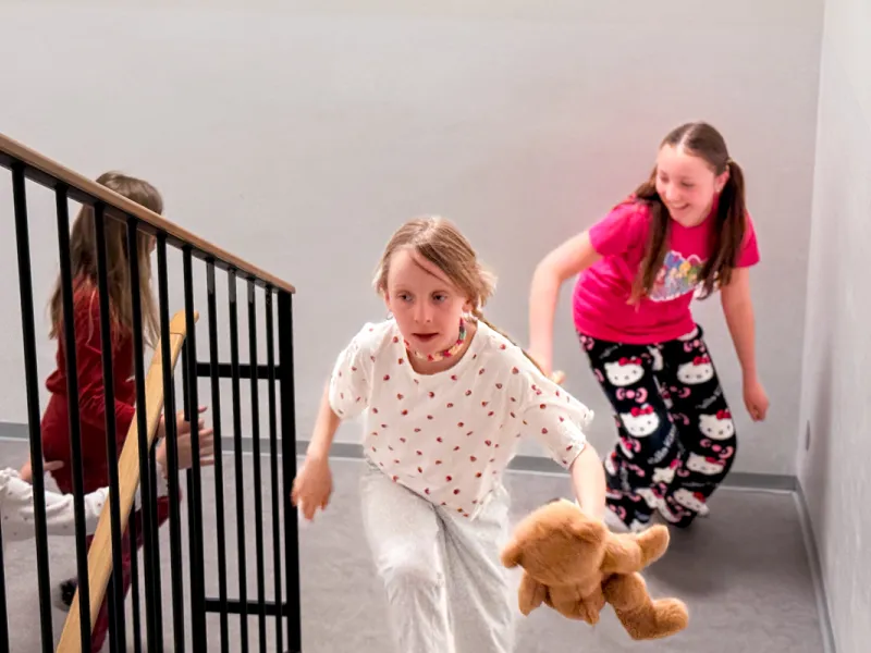 Druzina_lvicata_prespavani_ve_skole