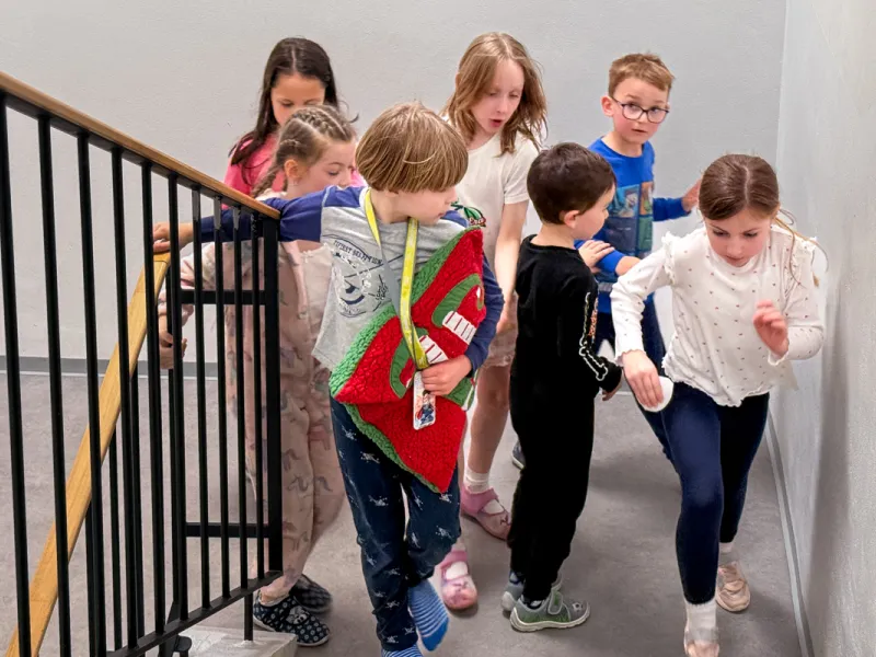 Druzina_lvicata_prespavani_ve_skole