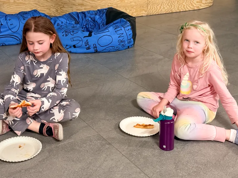 Druzina_lvicata_prespavani_ve_skole