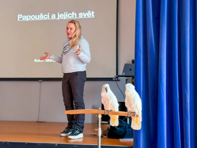 Papoušci_a_jeji_svět_přednáška_s_exotickými_ptáky