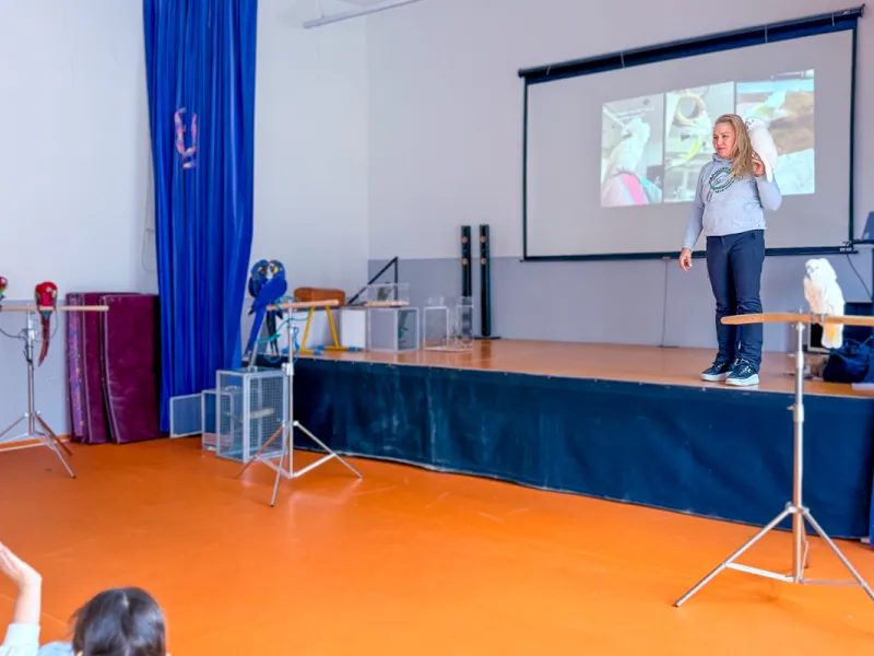 Papoušci_a_jeji_svět_přednáška_s_exotickými_ptáky