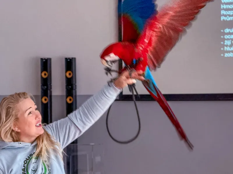 Papoušci_a_jeji_svět_přednáška_s_exotickými_ptáky