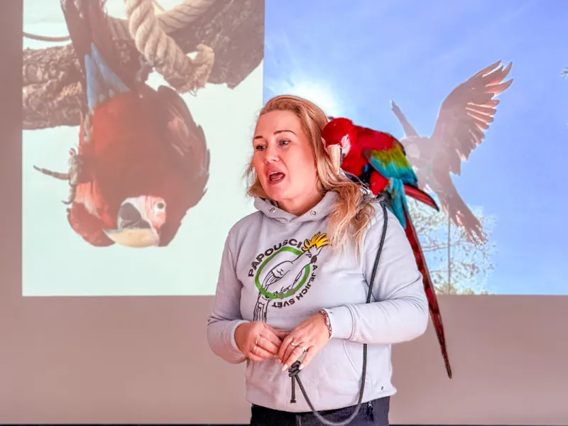 Papoušci_a_jeji_svět_přednáška_s_exotickými_ptáky