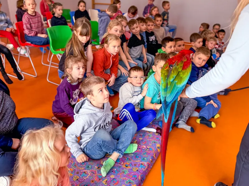 Papoušci_a_jeji_svět_přednáška_s_exotickými_ptáky