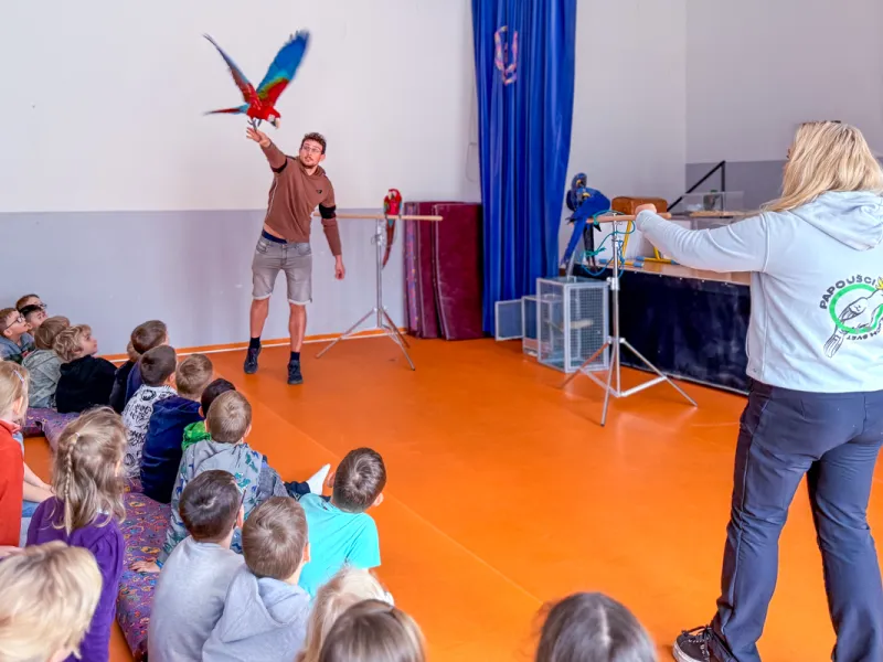 Papoušci_a_jeji_svět_přednáška_s_exotickými_ptáky