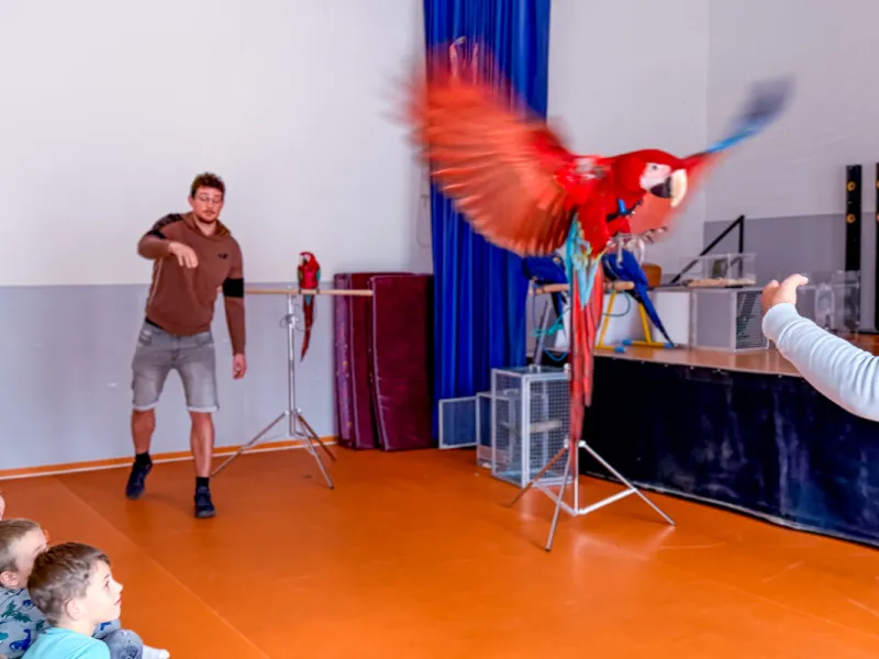 Papoušci_a_jeji_svět_přednáška_s_exotickými_ptáky