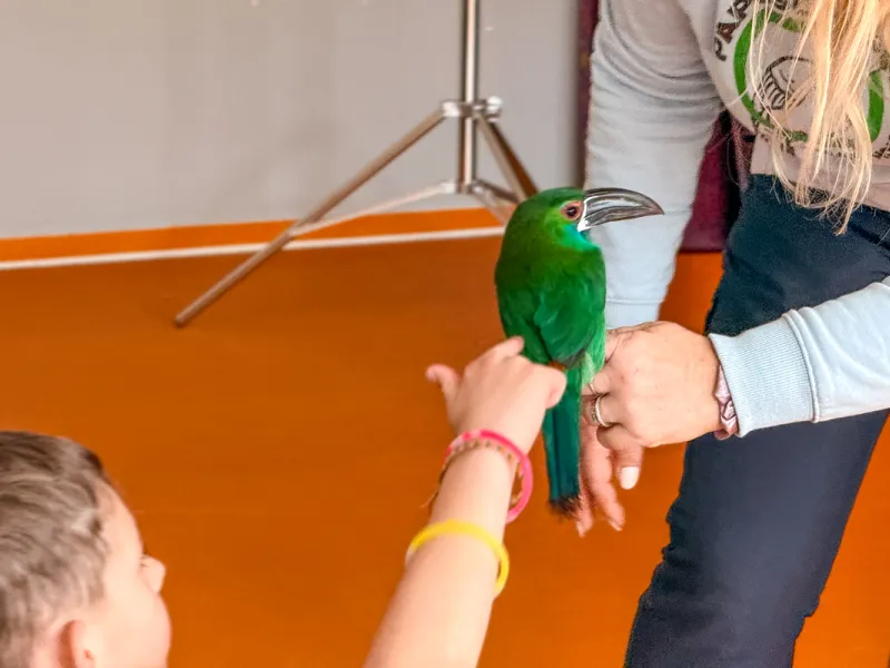 Papoušci_a_jeji_svět_přednáška_s_exotickými_ptáky
