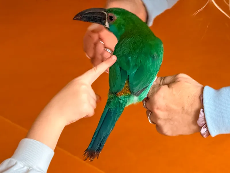 Papoušci_a_jeji_svět_přednáška_s_exotickými_ptáky