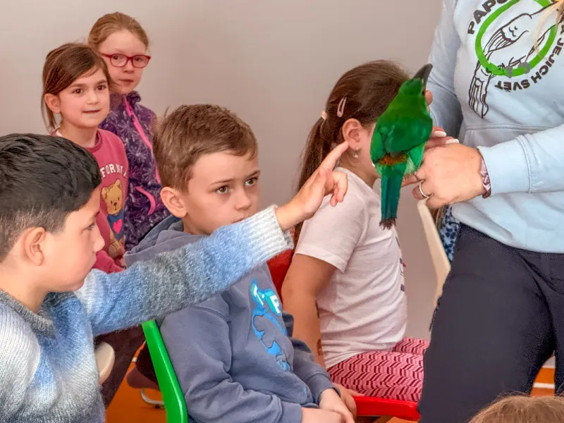 Papoušci_a_jeji_svět_přednáška_s_exotickými_ptáky