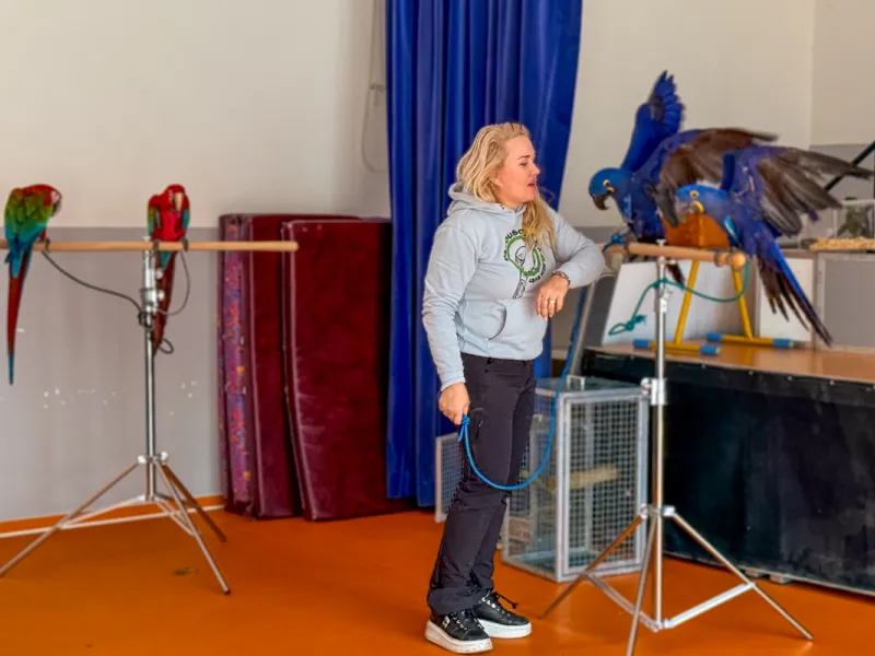 Papoušci_a_jeji_svět_přednáška_s_exotickými_ptáky