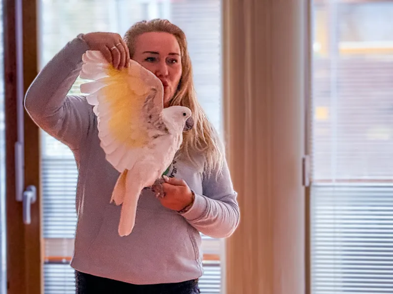 Papoušci_a_jeji_svět_přednáška_s_exotickými_ptáky