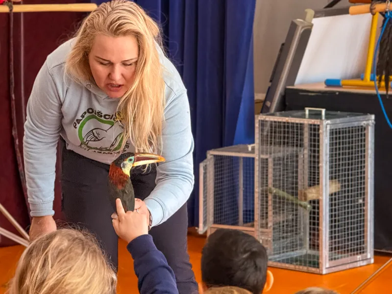 Papoušci_a_jeji_svět_přednáška_s_exotickými_ptáky