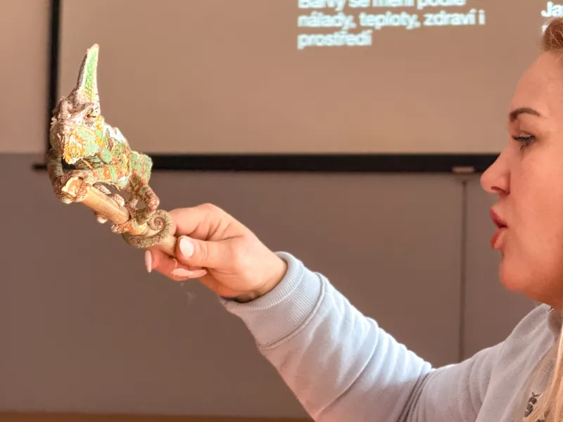 Papoušci_a_jeji_svět_přednáška_s_exotickými_ptáky