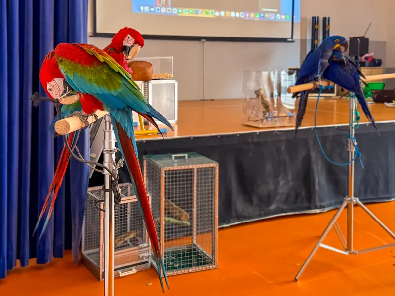 Papoušci_a_jeji_svět_přednáška_s_exotickými_ptáky