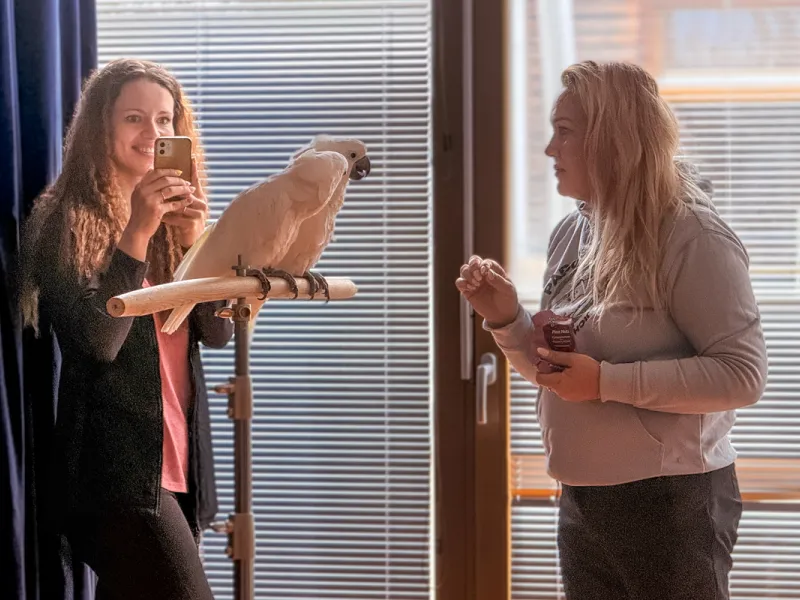 Papoušci_a_jeji_svět_přednáška_s_exotickými_ptáky