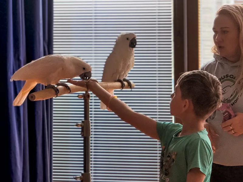 Papoušci_a_jeji_svět_přednáška_s_exotickými_ptáky