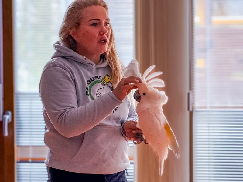 Papoušci_a_jeji_svět_přednáška_s_exotickými_ptáky