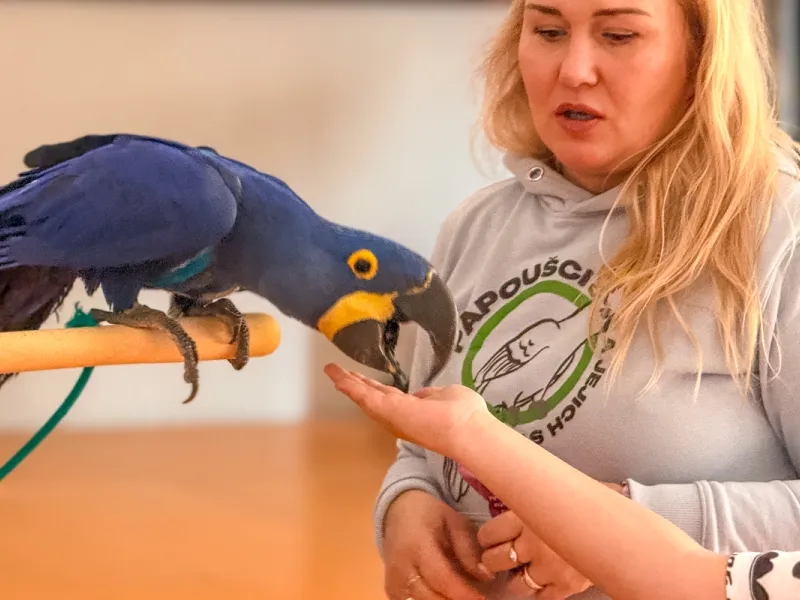 Papoušci_a_jeji_svět_přednáška_s_exotickými_ptáky