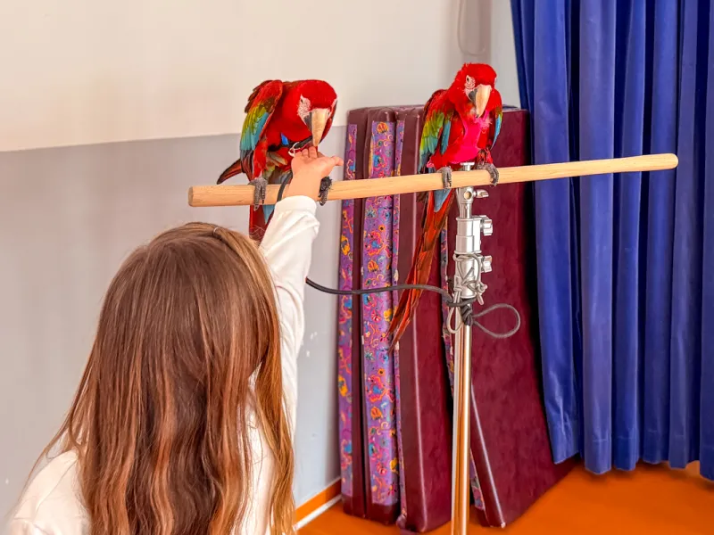 Papoušci_a_jeji_svět_přednáška_s_exotickými_ptáky