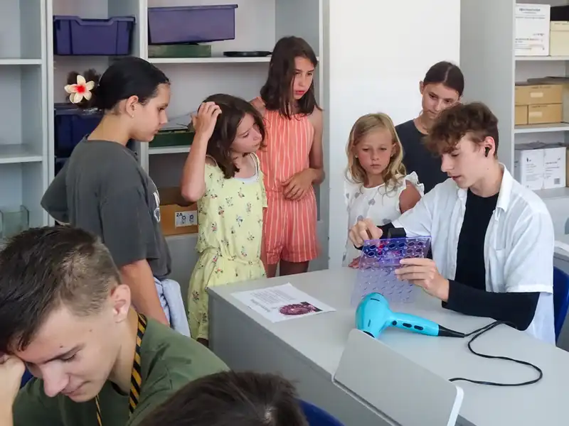 Projektový_týden_06/2026