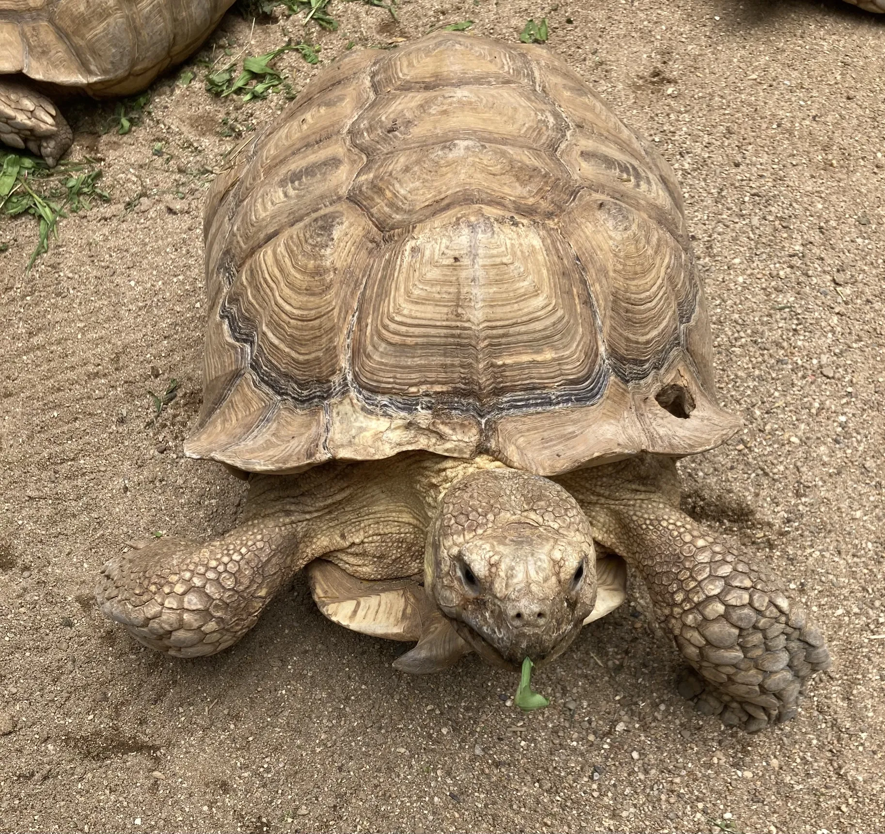 Zoopark Zájezd 
